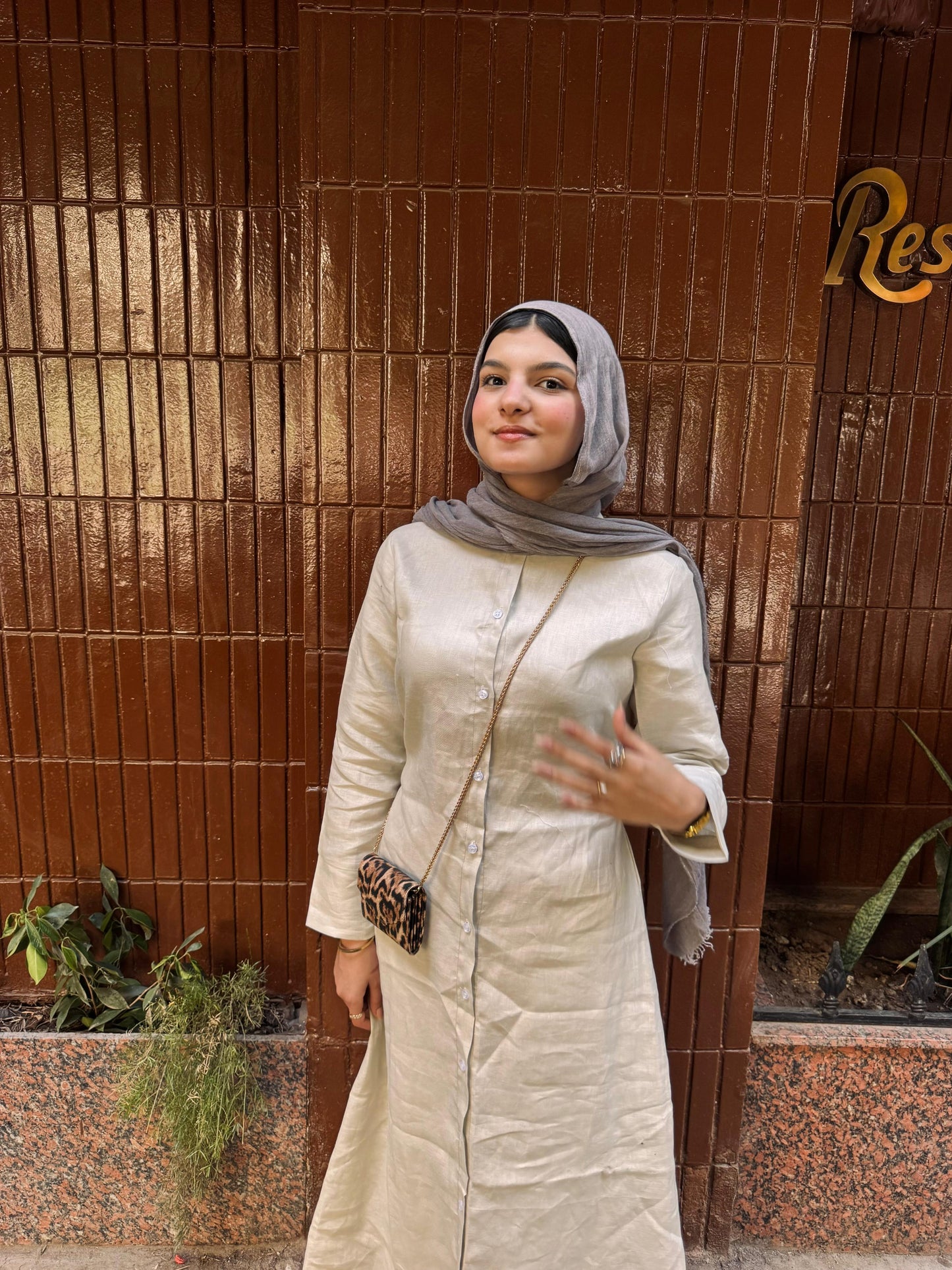 Dress (pre-order)